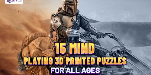 15 MIND - PLAYING 3D PRINTED PUZZLES FOR ALL AGES