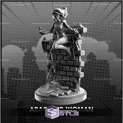 January 2024 C27 Collectibles Miniatures