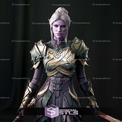 Dark Elf Paladin Minthara Baldurs Gate Bust Printable Models