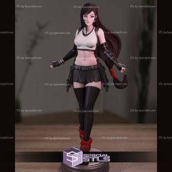 Tifa Lockhart Beautiful Final Fantasy Printable Models