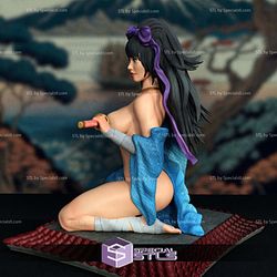 Ninja Woman NSFW STL Files 3D Model