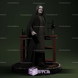 Severus Sanpe Harry Potter 3D Printing Figurine