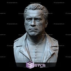 Bust Portrait STL Collection - Arnold Schwarzenegger