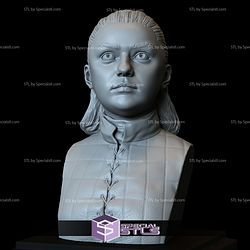 Bust Portrait STL Collection - Arya Stark Maisie Williams