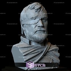 Bust Portrait STL Collection - Beric Dondarrion Game of thrones