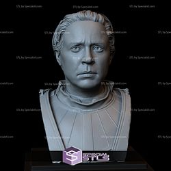 Bust Portrait STL Collection - Brienne of Tarth