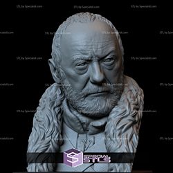 Bust Portrait STL Collection - Davos Seaworth