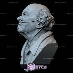 Bust Portrait STL Collection - Hector Salamanca Mark Margolis