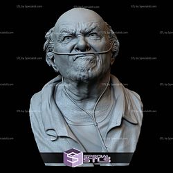 Bust Portrait STL Collection - Hector Salamanca Mark Margolis