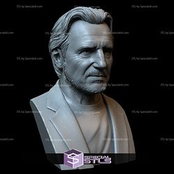 Bust Portrait STL Collection - Liam Neeson