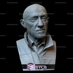 Bust Portrait STL Collection - Mike Ehrmantraut - Breaking Bad