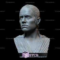 Bust Portrait STL Collection - Rey Skywalker Daisy Ridley Star Wars