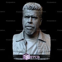 Bust Portrait STL Collection - Ron Perlman as Clay Morrow