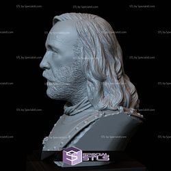 Bust Portrait STL Collection - Sandor Clegane The Hound