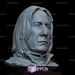 Bust Portrait STL Collection - Severus Snape Alan Rickman