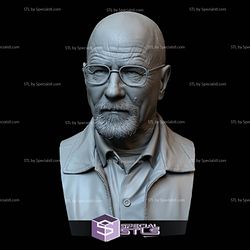 Bust Portrait STL Collection - Walter White aka Heisenberg