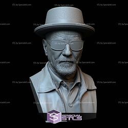 Bust Portrait STL Collection - Walter White aka Heisenberg