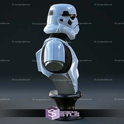 Stormtrooper Bust Digital Sculpture