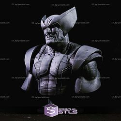 Wolverine Classic Bust STL Files