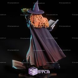 Tasha the Witch Queen Digital 3D Sculpture