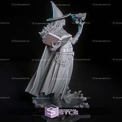Tasha the Witch Queen Digital 3D Sculpture