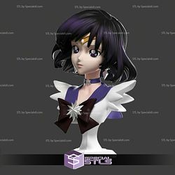 Sailor Saturn Bust Digital Sculpture