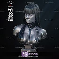 Silk Spectre Bust Portrait Digital Sculpture