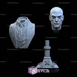 Charles Xavier Professor X Bust Digital Sculpture