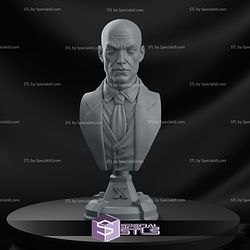 Charles Xavier Professor X Bust Digital Sculpture