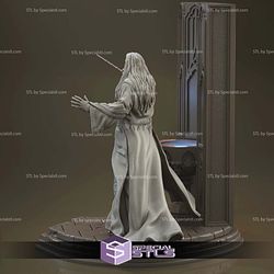 Albus Dumbledore Opening Ceremony 3D Printing Figurine