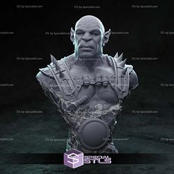 Panthro Bust Digital STL Files