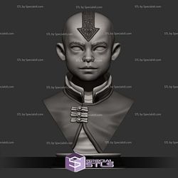 Simple STL Collection - Aang Bust Avatar