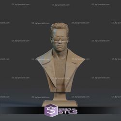 Terminator Arnold Schwarzenegger Bust 3D Printer Files