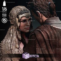 Anakin and Padme Wedding Bundle Collection Digital Sculpture