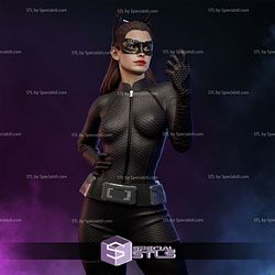 Anne Hathaway Catwoman 3D Printer Files