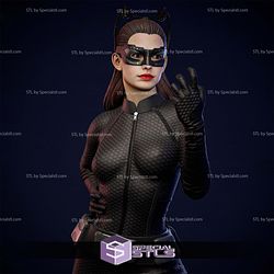 Anne Hathaway Catwoman 3D Printer Files