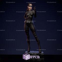 Anne Hathaway Catwoman 3D Printer Files