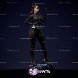 Anne Hathaway Catwoman 3D Printer Files