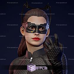 Anne Hathaway Catwoman 3D Printer Files