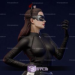 Anne Hathaway Catwoman 3D Printer Files