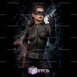 Anne Hathaway Catwoman 3D Printer Files