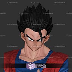 Definitive Gohan Buu Saga 3D Model Sculpture