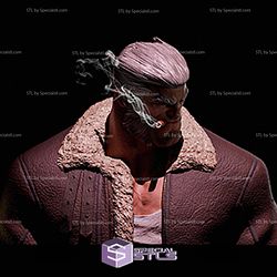 Old Man Logan New Version 3D Printer Files