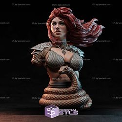 Red Sonja Snake Bust 3D Printer Files