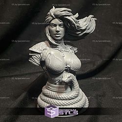 Red Sonja Snake Bust 3D Printer Files