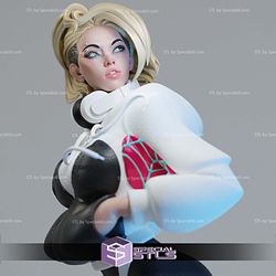 Spider Gwen and Jacket 3D Printer Files