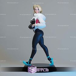 Spider Gwen and Jacket 3D Printer Files