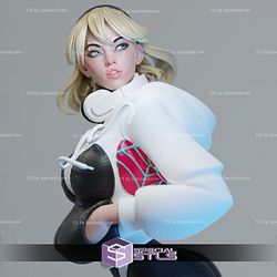 Spider Gwen and Jacket 3D Printer Files