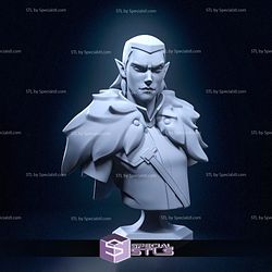 Vaxildan Bust The Legend of Vox Machina 3D Printer Files