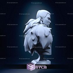 Vaxildan Bust The Legend of Vox Machina 3D Printer Files